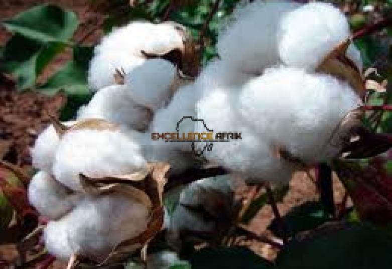 Togo: Appel d’offres international pour la fourniture de 1 000 000 de litres de produits phytosanitaires